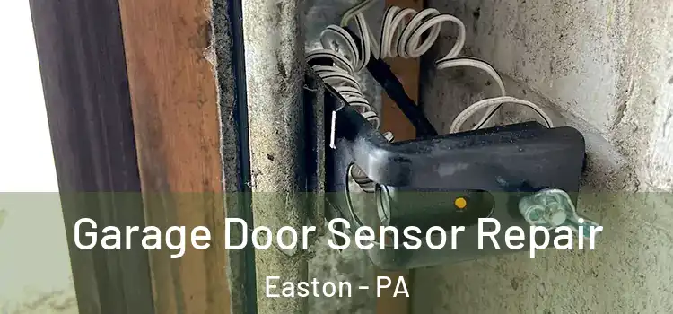 Garage Door Sensor Repair Easton - PA